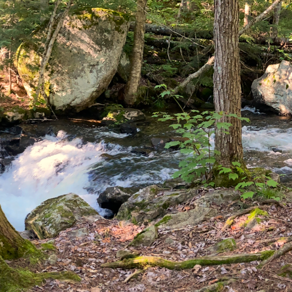 L'Esprit de la Rivière