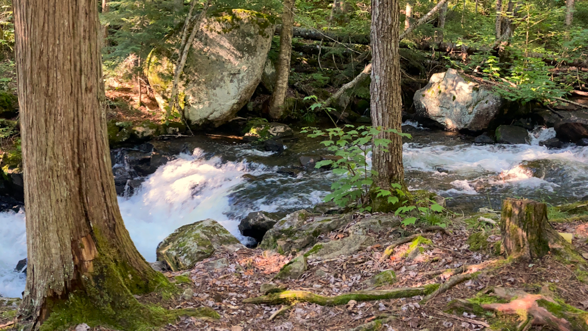 Les Anciens et la Rivière